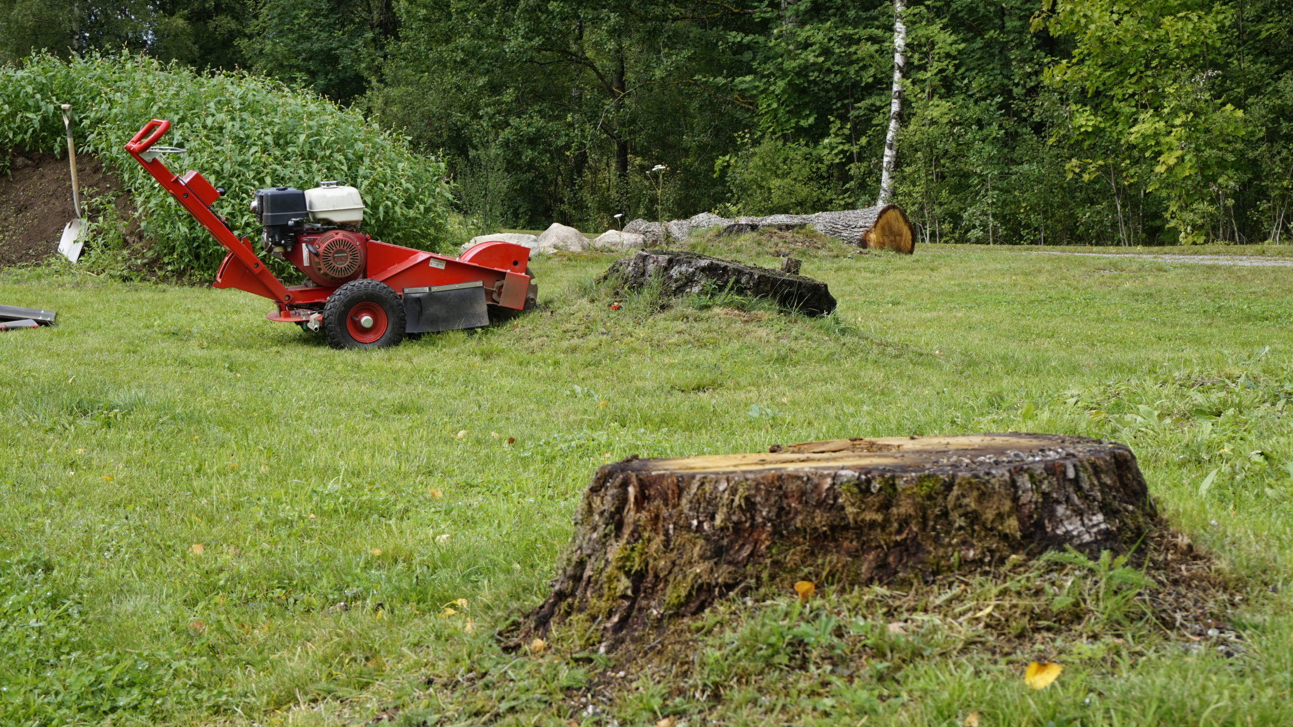 Stubbfräsning